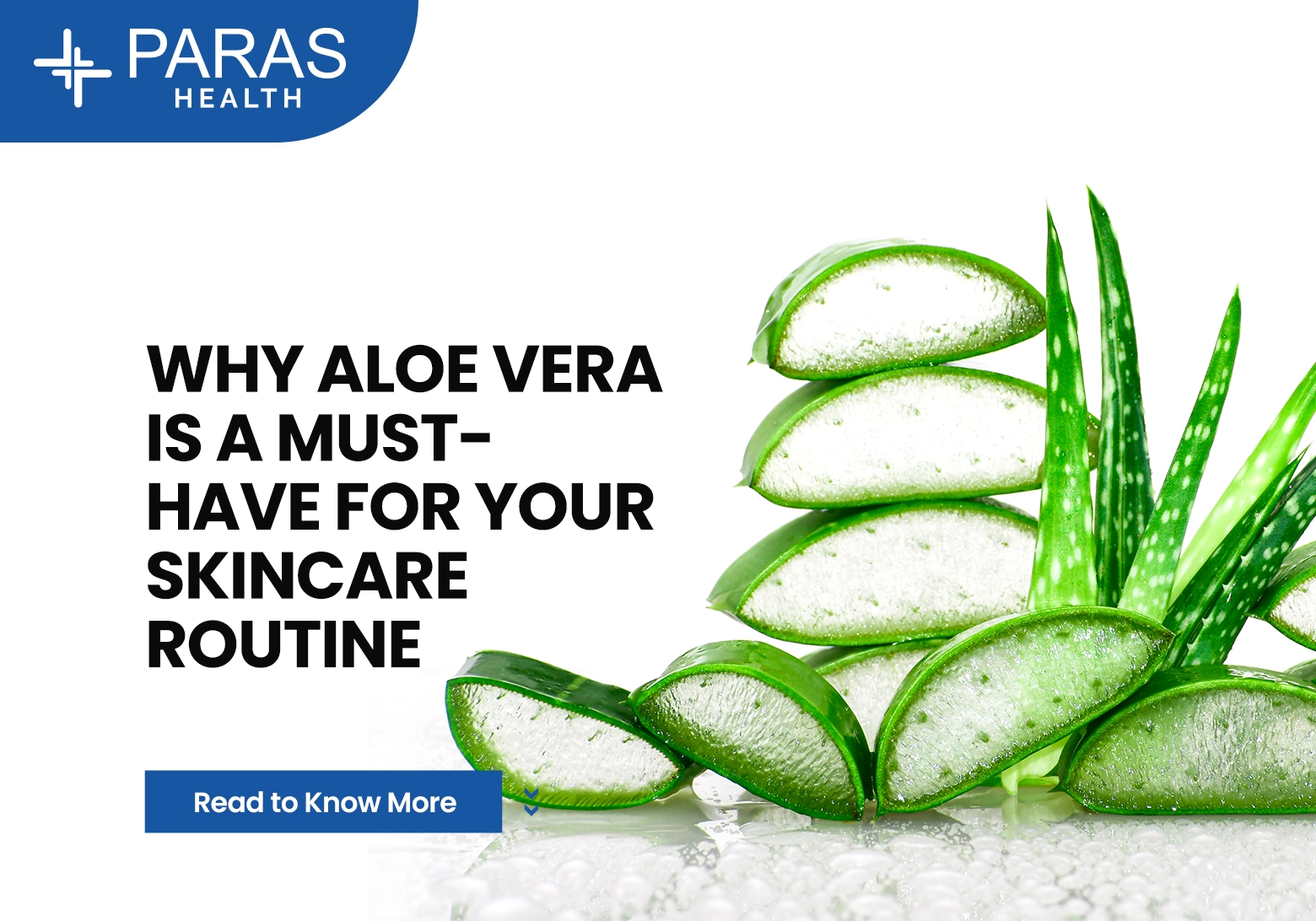 Why Aloe Vera is a Must-Have for Your Skincare Routine